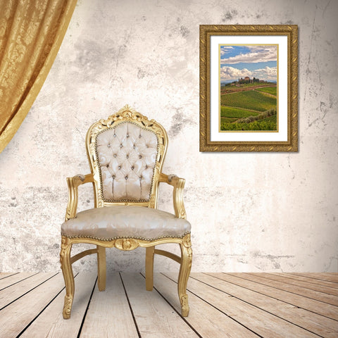Italy-Tuscany A view of the vineyards and villa in Chianti region of Tuscany-Italy Gold Ornate Wood Framed Art Print with Double Matting by Eggers, Julie