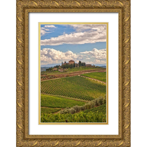 Italy-Tuscany A view of the vineyards and villa in Chianti region of Tuscany-Italy Gold Ornate Wood Framed Art Print with Double Matting by Eggers, Julie