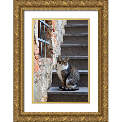 Italy-Tuscany-Vertine Exploring the small hillside town of Vertine in the Chianti region of Tuscany Gold Ornate Wood Framed Art Print with Double Matting by Eggers, Julie