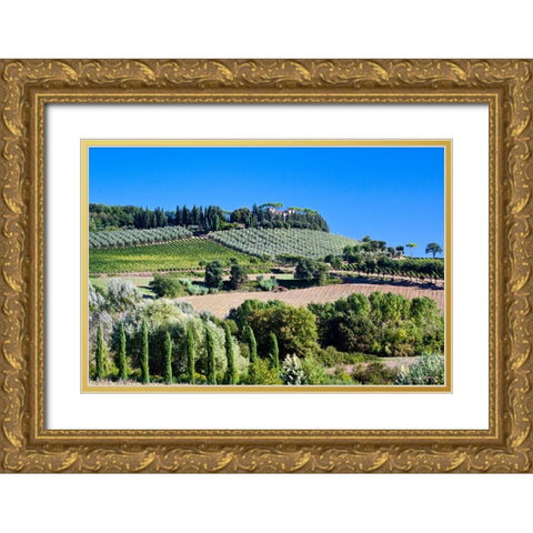 Italy-Tuscany Villa on hillside surrounded with olive trees and vineyard Gold Ornate Wood Framed Art Print with Double Matting by Eggers, Julie