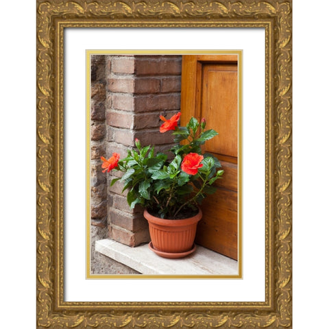 Italy-Tuscany-San Gimignano Red hibiscus flower in a pot on the doorstep of a home in San Gimignano Gold Ornate Wood Framed Art Print with Double Matting by Eggers, Julie
