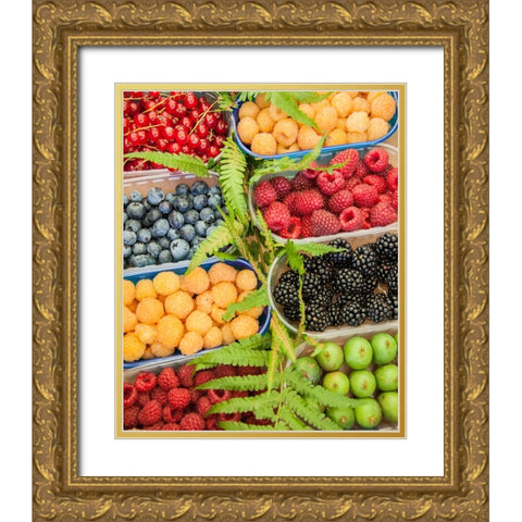 Italy-Venice A variety of berries on display and for sale in the Rialto Market Gold Ornate Wood Framed Art Print with Double Matting by Eggers, Julie