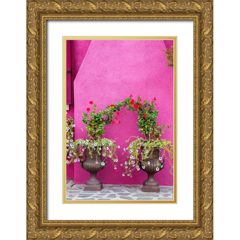 Italy-Venice-Burano Island Urns planted with flowers against a bright pink wall on Burano Island Gold Ornate Wood Framed Art Print with Double Matting by Eggers, Julie
