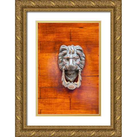 Italy-Venice-Burano Island Closeup of a lion head door knocker on a wooden door Gold Ornate Wood Framed Art Print with Double Matting by Eggers, Julie