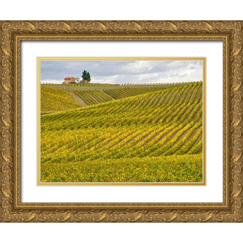 Italy-Tuscany Colorful vineyard in autumn Gold Ornate Wood Framed Art Print with Double Matting by Eggers, Julie