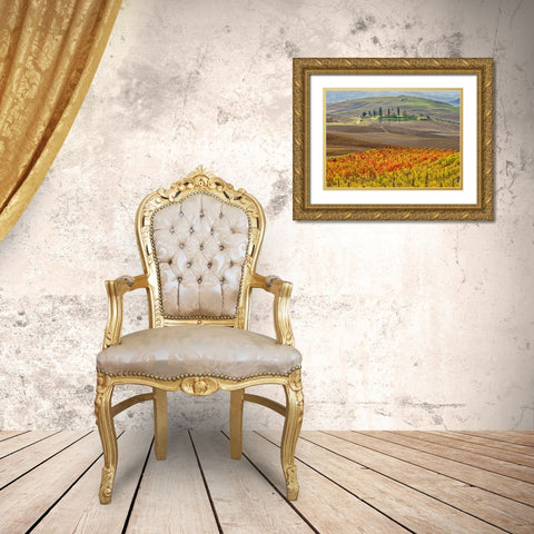Italy-Tuscany Colorful vineyard in autumn Gold Ornate Wood Framed Art Print with Double Matting by Eggers, Julie