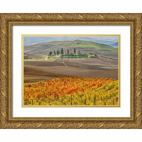 Italy-Tuscany Colorful vineyard in autumn Gold Ornate Wood Framed Art Print with Double Matting by Eggers, Julie