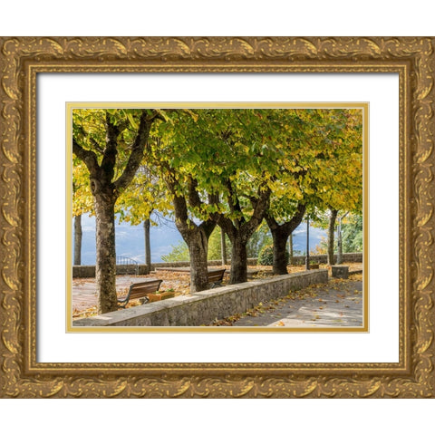 Italy-Tuscany-Radicofani Park setting in the town of Radicofani overlooking the valley below Gold Ornate Wood Framed Art Print with Double Matting by Eggers, Julie