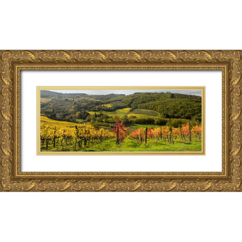 Italy-Tuscany Panoramic view of a colorful vineyard in the Tuscan landscape Gold Ornate Wood Framed Art Print with Double Matting by Eggers, Julie