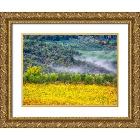 Italy-Tuscany Autumn morning with fog in the Tuscan valley Gold Ornate Wood Framed Art Print with Double Matting by Eggers, Julie