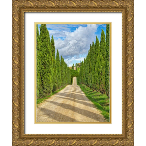 Italy-Tuscany Road lined with Italian cypress leading to a villa Gold Ornate Wood Framed Art Print with Double Matting by Eggers, Julie