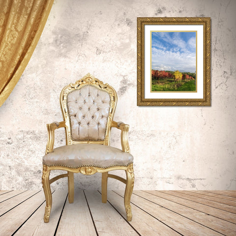 Italy-Tuscany Colorful vineyards in autumn with blue skies and clouds Gold Ornate Wood Framed Art Print with Double Matting by Eggers, Julie