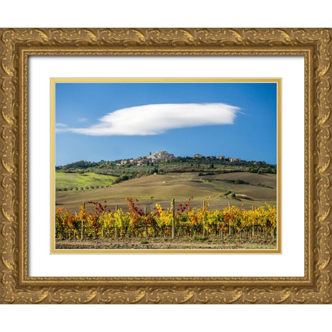 Italy-Tuscany Colorful vineyards in autumn with blue skies and clouds Gold Ornate Wood Framed Art Print with Double Matting by Eggers, Julie