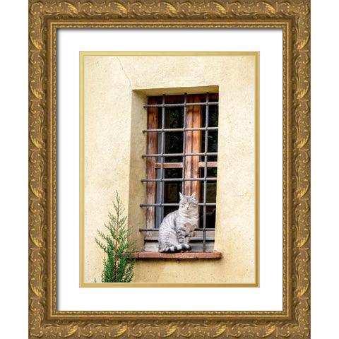 Italy-Tuscany-Pienza Cat sitting on a window ledge along the streets Gold Ornate Wood Framed Art Print with Double Matting by Eggers, Julie