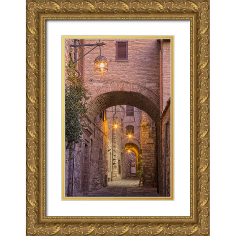 Italy- Umbria- Assisi. Alleyway with arches and lanterns in the evening. Gold Ornate Wood Framed Art Print with Double Matting by Eggers, Julie
