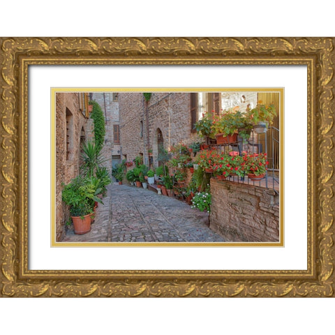 Italy- Umbria. Scenic sight in Spello- flowery and picturesque village. Gold Ornate Wood Framed Art Print with Double Matting by Eggers, Julie