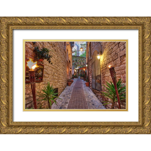 Italy- Umbria. Street lined with flower pots in the town of Assisi. Gold Ornate Wood Framed Art Print with Double Matting by Eggers, Julie