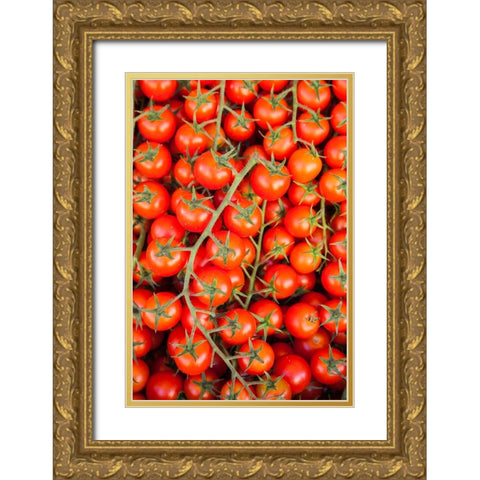 Italy- Umbria- Montefalco. Closeup of tomatoes on the vine. Gold Ornate Wood Framed Art Print with Double Matting by Eggers, Julie