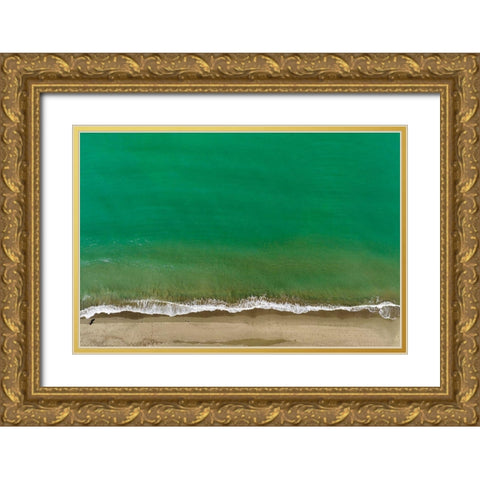 Italy-Tuscany-Torre del Lago Puccini-dunes and free beach Gold Ornate Wood Framed Art Print with Double Matting by Molinari, Michele