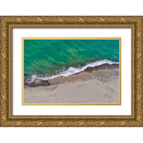 Italy-Tuscany-Torre del Lago Puccini-dunes and free beach Gold Ornate Wood Framed Art Print with Double Matting by Molinari, Michele