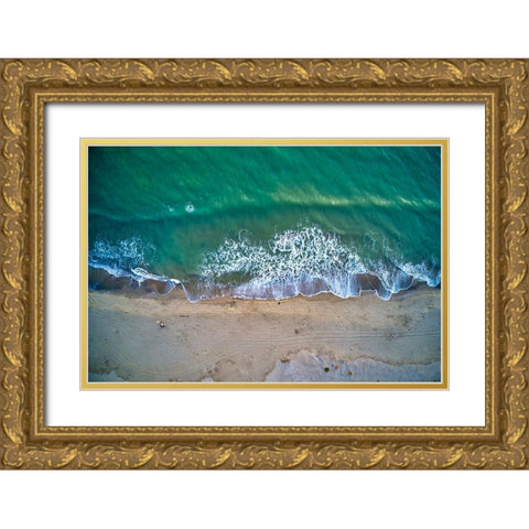 Italy-Tuscany-Torre del Lago Puccini-dunes and free beach Gold Ornate Wood Framed Art Print with Double Matting by Molinari, Michele