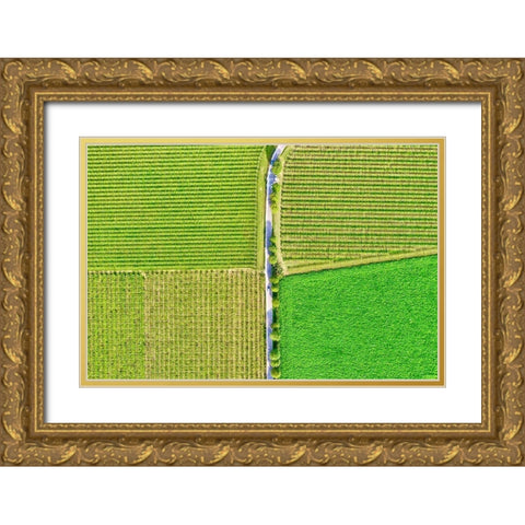Italy-Valpolicella vineyards Gold Ornate Wood Framed Art Print with Double Matting by Molinari, Michele