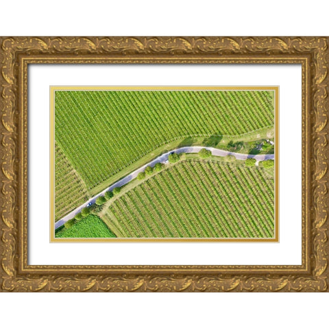 Italy-Valpolicella vineyards Gold Ornate Wood Framed Art Print with Double Matting by Molinari, Michele