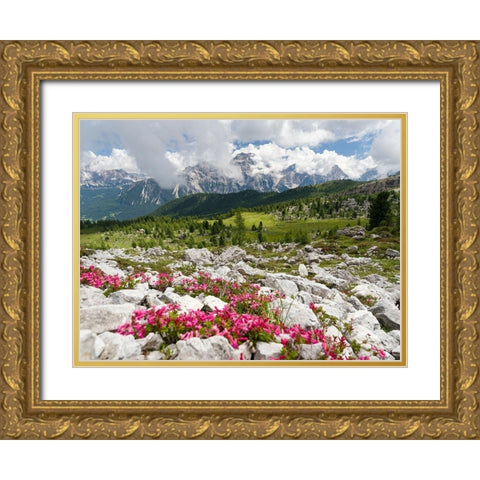 Croda da Lago in the Dolomites of the Veneto near Cortina dAmpezzo-view towards Sorapis  Gold Ornate Wood Framed Art Print with Double Matting by Zwick, Martin