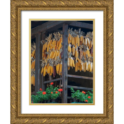 Molveno at lake Lago di Molveno in the Dolomiti di Brenta Dolomites Gold Ornate Wood Framed Art Print with Double Matting by Zwick, Martin