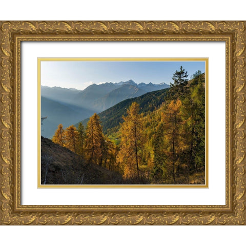 Peaks of Presanella mountain range above Val Rendena-seen from Brenta mountain range Italy Gold Ornate Wood Framed Art Print with Double Matting by Zwick, Martin