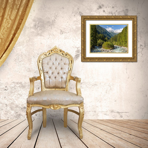 River Sarca-Val di Genova in the Parco Naturale Adamello-Brenta-Trentino-Italy-Val Rendena Gold Ornate Wood Framed Art Print with Double Matting by Zwick, Martin