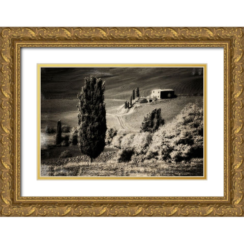 Italy Tuscany-Villa in the Tuscan hillside Gold Ornate Wood Framed Art Print with Double Matting by Eggers, Terry