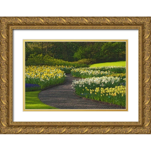 Netherlands, Lisse Path through daffodils Gold Ornate Wood Framed Art Print with Double Matting by Flaherty, Dennis