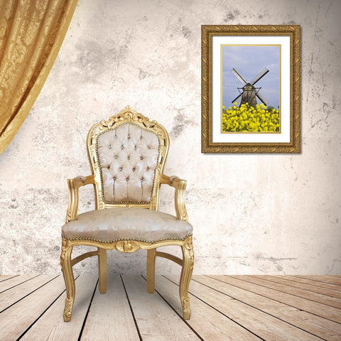 Netherlands, Kinderdijk Windmill with flowers Gold Ornate Wood Framed Art Print with Double Matting by Flaherty, Dennis