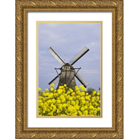 Netherlands, Kinderdijk Windmill with flowers Gold Ornate Wood Framed Art Print with Double Matting by Flaherty, Dennis