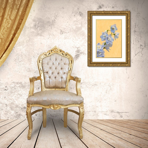 Netherlands, Venlo Delphinium parfait flowers Gold Ornate Wood Framed Art Print with Double Matting by Bush, Marie