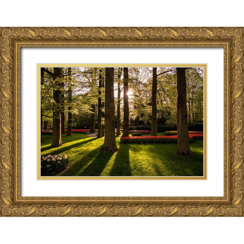 Europe-The Netherlands-Lisse-Keukenhof Gardens at sunrise Gold Ornate Wood Framed Art Print with Double Matting by Jaynes Gallery