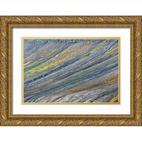 Pattern on mountain slope-Svalbard-Norway Gold Ornate Wood Framed Art Print with Double Matting by Jones, Adam
