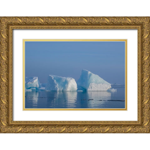 Norway-High Arctic Ice landscape with icebergs Gold Ornate Wood Framed Art Print with Double Matting by Hopkins, Cindy Miller