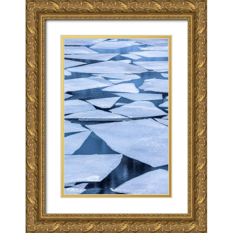 Norway- Lofoten Islands. Broken ice on Lake Storvatent Gold Ornate Wood Framed Art Print with Double Matting by Looney, Hollice