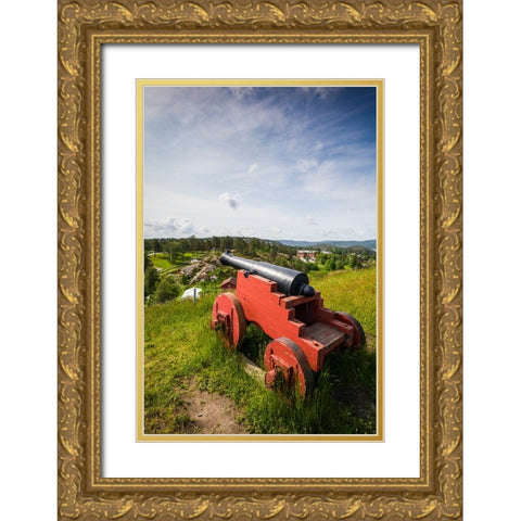 Norway-Ostfold County-Halden-Fredriksten Fortress-historic cannons Gold Ornate Wood Framed Art Print with Double Matting by Bibikow, Walter