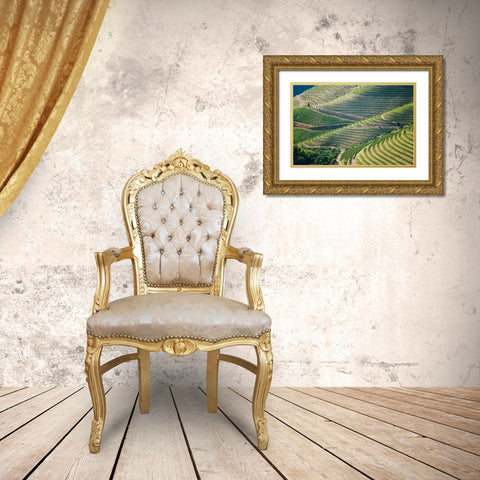 Europe-Portugal-Douro Valley-Vineyard patterns Gold Ornate Wood Framed Art Print with Double Matting by Jaynes Gallery