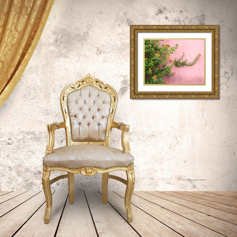 Portugal-Obidos-Colorful lantana vine growing against a pink wall Gold Ornate Wood Framed Art Print with Double Matting by Eggers, Julie