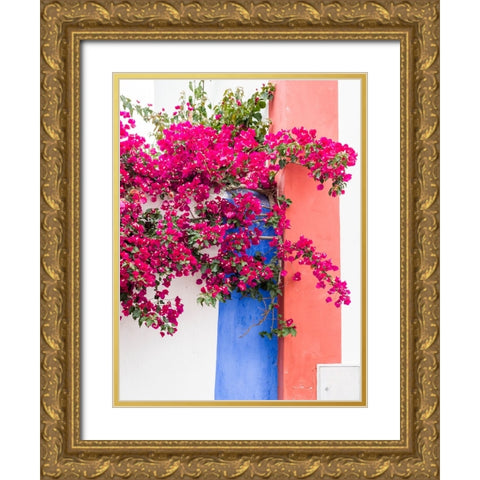 Portugal-Obidos-Dark pink bougainvillea vine against a blue-orange and white striped wall Gold Ornate Wood Framed Art Print with Double Matting by Eggers, Julie