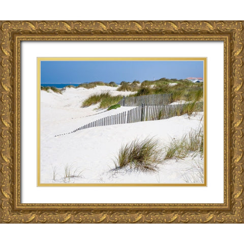 Portugal-Costa Nova-Beach grass-sand and old fence line at the beach resort of Costa Nova near Avei Gold Ornate Wood Framed Art Print with Double Matting by Eggers, Julie