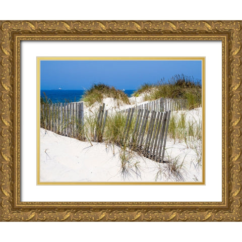 Portugal-Costa Nova-Beach grass-sand and old fence line at the beach resort of Costa Nova near Avei Gold Ornate Wood Framed Art Print with Double Matting by Eggers, Julie