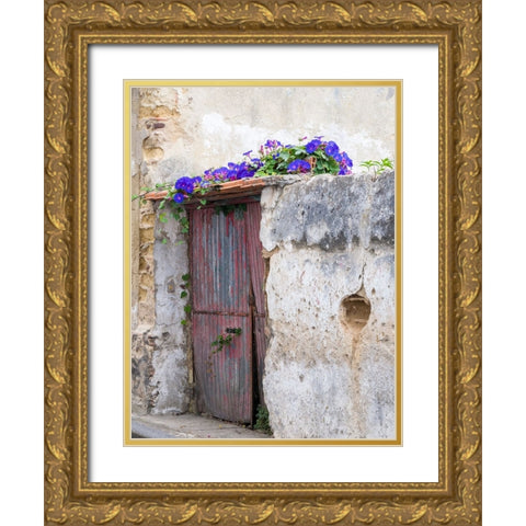 Portugal-Aveiro-Old red metal door with bright blue and pink morning glory flower vine covering abo Gold Ornate Wood Framed Art Print with Double Matting by Eggers, Julie