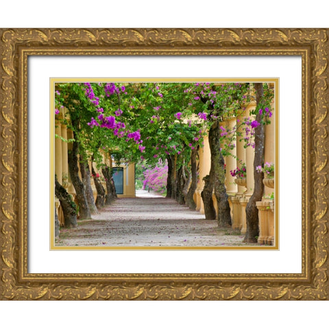 Portugal-Aveiro-Parque Dom Pedro Infante in Aveiro-Stone balustrade with pergola and columns Gold Ornate Wood Framed Art Print with Double Matting by Eggers, Julie