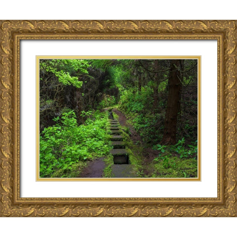 Levada-traditional irrigation channel near Cabeco Gordo in dense forest  Gold Ornate Wood Framed Art Print with Double Matting by Zwick, Martin