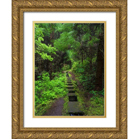 Levada-traditional irrigation channel near Cabeco Gordo in dense forest  Gold Ornate Wood Framed Art Print with Double Matting by Zwick, Martin